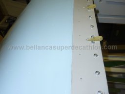 Canopy (73)